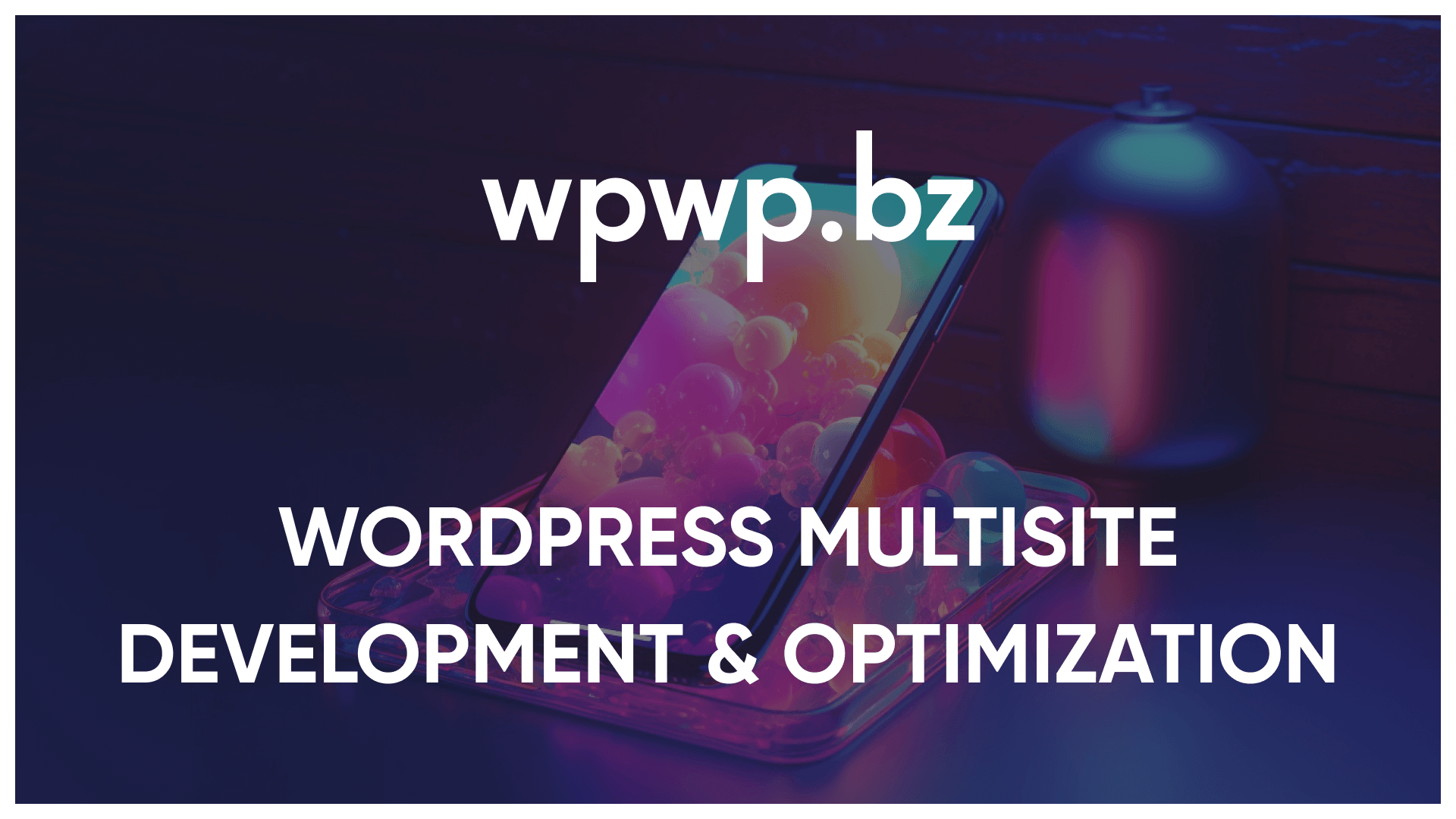 WordPress multisite optimization | wpwp agency