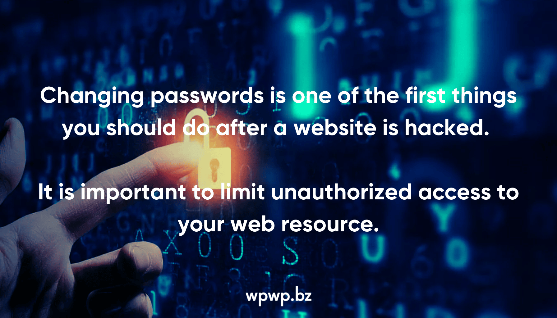 Article-_-Blog-_-What-to-Do-if-Your-WordPress-Website-Hacked-6 foto